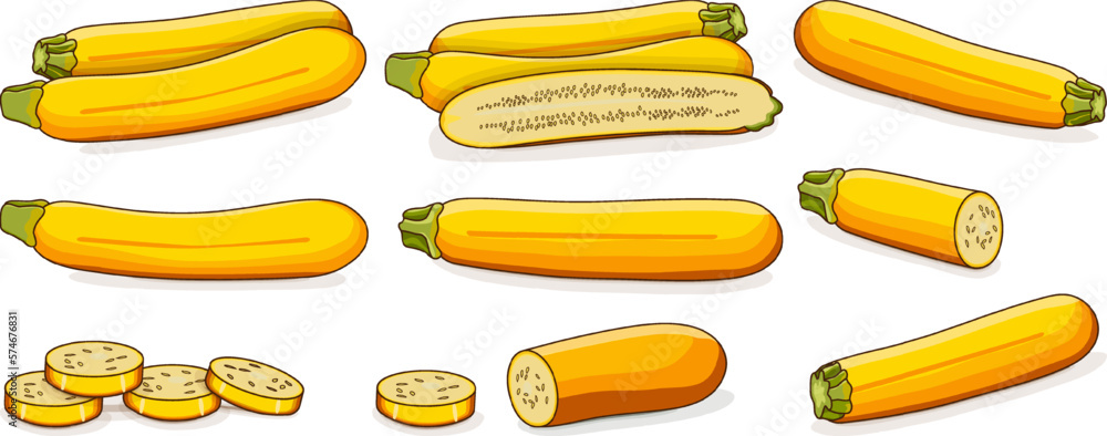 Set of Yellow zucchini or golden zucchini. Courgette or marrow. Summer squash. Cucurbita pepo or cucubits. Fruits and vegetables. Cartoon style. Vector illustration isolated on white background. Set of Yellow zucchini or golden zucchini. Courgette or marrow. Summer squash. Cucurbita pepo or cucubits. Fruits and vegetables. Cartoon style. Vector illustration isolated on white background.
