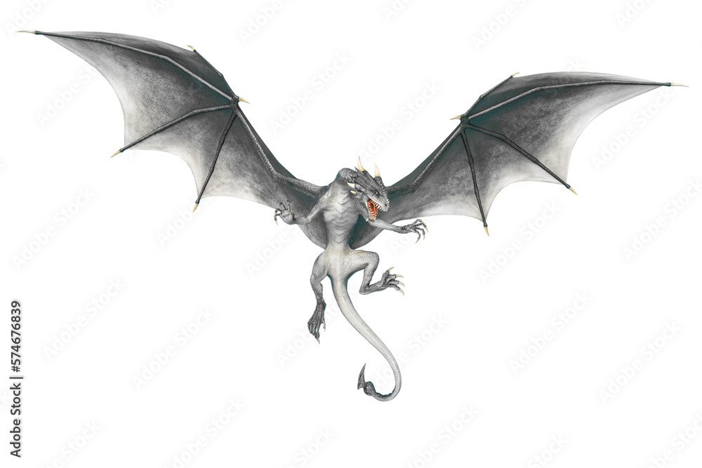 Fototapeta premium dragon