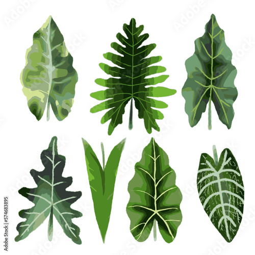 Tropical leaves vector. Watercolor hand painted leaf isolated on white background.