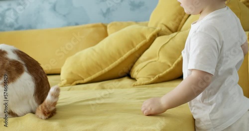 Cute baby 2 years old playing with a ginger domestic cat