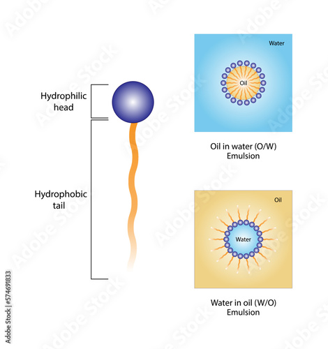 Emulsifier types, structure. Emulsion oil in water, water in oil. Emulsion, a mixture of two immiscible liquids. Emulsification, Surfactants. isolated on white background. Vector illustration