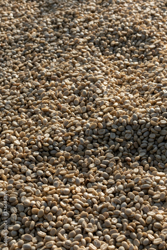 background of large amount of coffee beans that are harvested and then sun dried is one of processes for producing coffee beans to be roasted and packaged into roasted coffee bean products for sale. background of large amount of coffee beans that are harvested and then sun dried is one of processes for producing coffee beans to be roasted and packaged into roasted coffee bean products for sale.