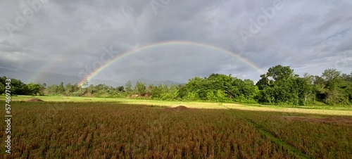 rainbow over field