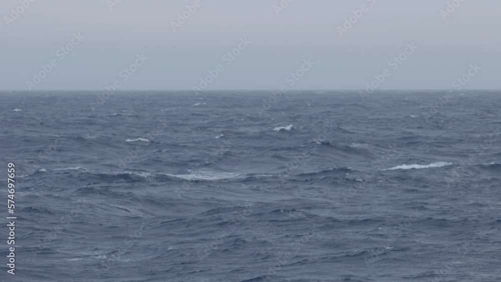 Giant petrel fast speed flight, long shot
Giant petrel wildlife in Antarctica, February 2023
Giant petrel fast speed flight, long shot
Giant petrel wildlife in Antarctica, February 2023