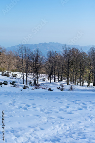 Scenic view of Akfadou Forest in Bejaia covered by snow