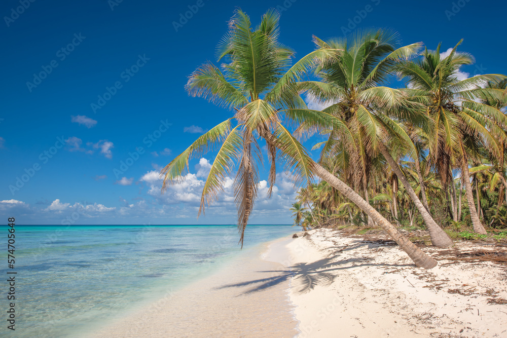 Obraz premium Tropical paradise beach with white sand and coconut palms. clear blue water on Saona Island in Dominican Republic. travel tourism wide panorama background concept
