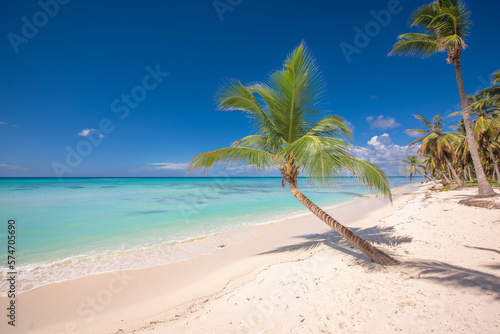 Tropical paradise beach with white sand and coconut palms. clear blue water on Saona Island in Dominican Republic. travel tourism wide panorama background concept