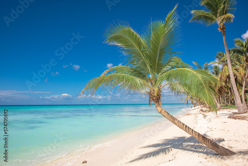Tropical paradise beach with white sand and coconut palms. clear blue water on Saona Island in Dominican Republic. travel tourism wide panorama background concept © Marius Igas