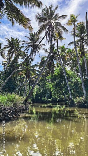 Scenic backwaters of Poovar Island, Kerala