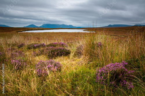 Looking across the Flow Country in northern Scotland towards Ben Loyal. It's the most intact and extensive blanket bog system in the world. photo