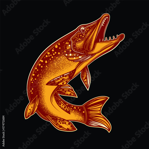 Original vector illustration in vintage style. Fish-pike. T-shirt design, stickers, print.