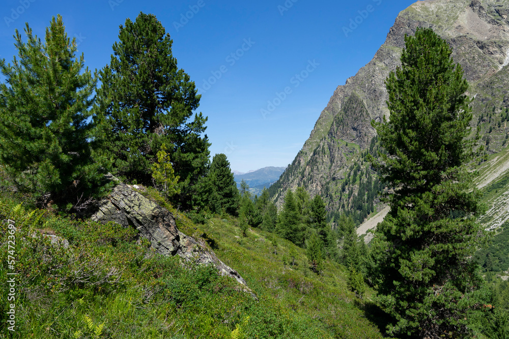 Obraz premium View from high in the mountains towards summits and forest into the blue sky