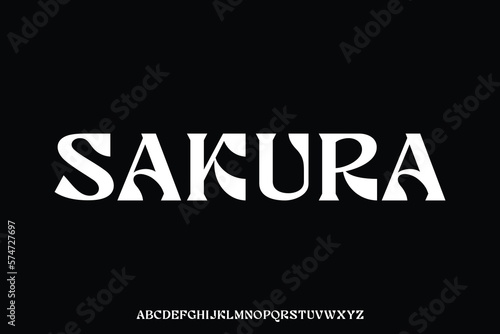 Unique decorative display font vector