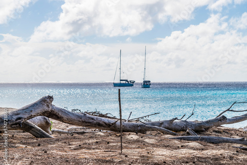 A view past driftwood out to sea on the island of Grand Turk on a bright sunny morning
