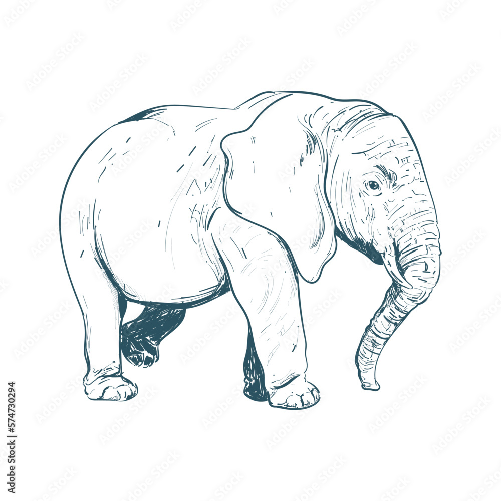 retro elephant design