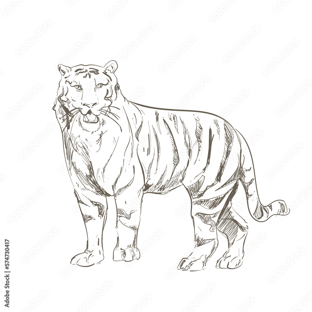 Fototapeta premium retro tiger design