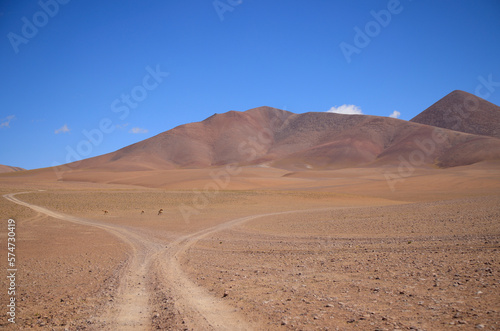 The red color of the landscapes of the Puna  Argentina