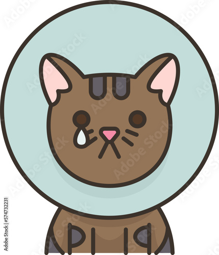 cat  icon