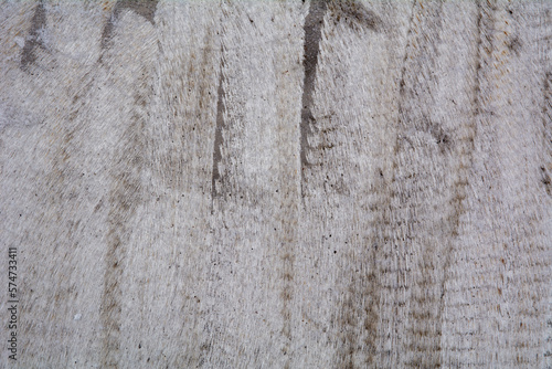 rusty metal sheet texture background