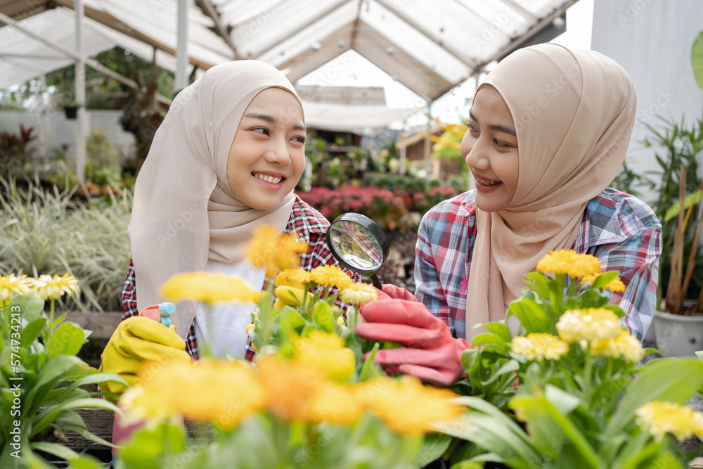 Happy cheerful Asian Muslim female botanist or gardener using a magnifying glass to see the detail of a little plant fern in a pot. A plant researcher inspecting a small house plant in glasshouse.