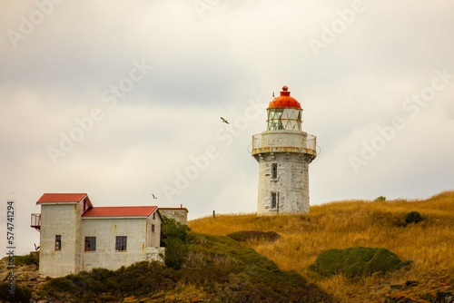 Taiaroa Head Lighthouse