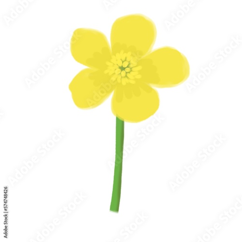 Print op canvas Yellow flower
