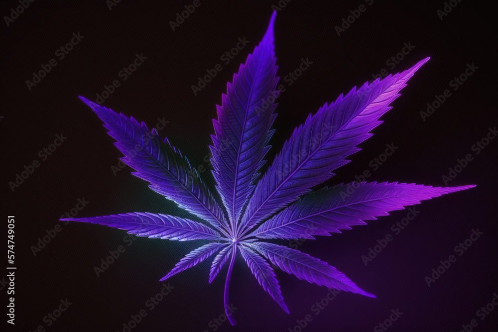 Large Neon cannabis leaf on a black background. Marijuana leaf in purple neon light. Medicinal hemp: a new look at the agricultural hemp strain. Generative Ai. Large Neon cannabis leaf on a black background. Marijuana leaf in purple neon light. Medicinal hemp: a new look at the agricultural hemp strain. Generative Ai.