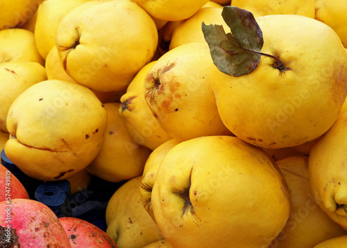 organic and fresh quinces on the market stall 