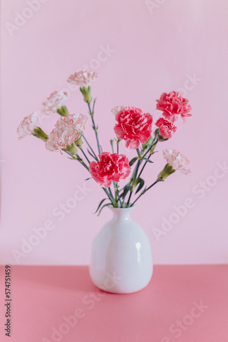 Beautiful pink and white Carnation flowers on a pink pastel background.