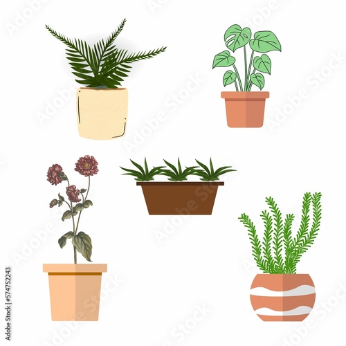 Plant in the pot illustration image Set of 5 images in 1 design