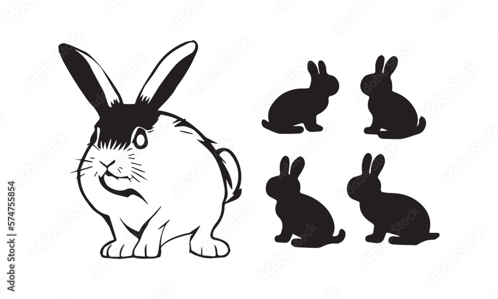 rabbit 04 rabbit 04