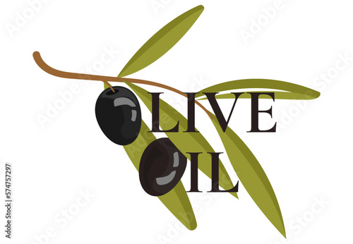 Olive oil. Natural product. extra virgin olive oil icon vector illustration. Elegant Logo template with olive branch - simple linear style