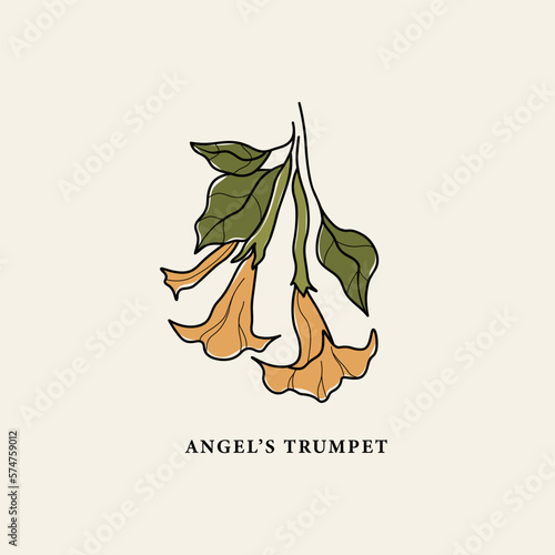 Line art Angel's Trumpet or brugmansia flower drawing
