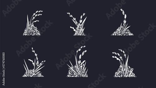 Rice set. Vector white grains, texture plant