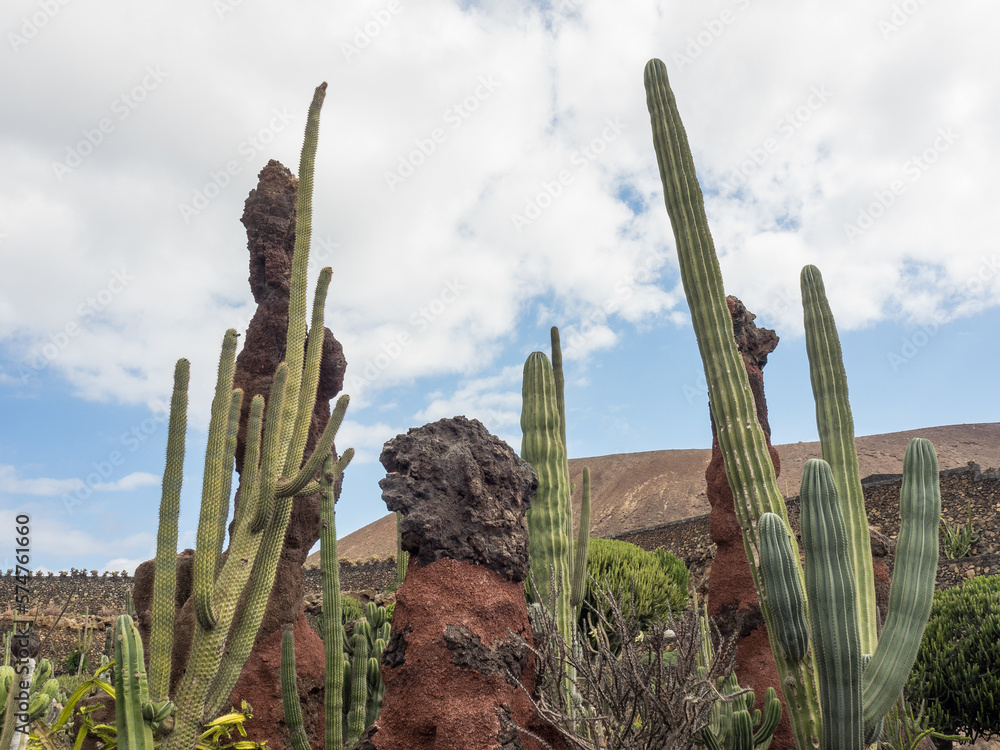 Die Insel Lanzarote in spanien