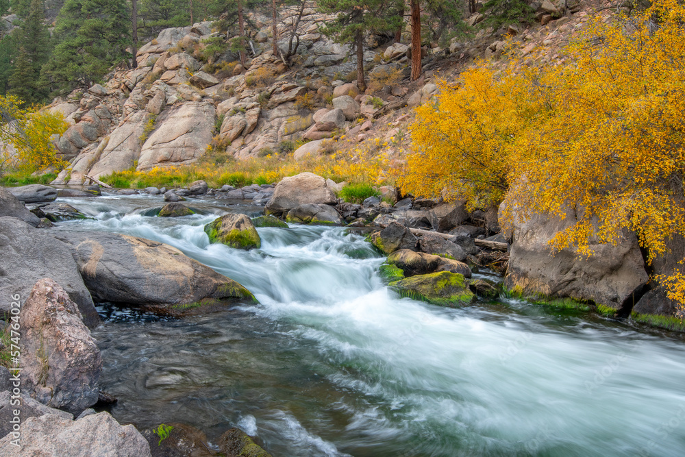 Beautiful Creek Cutting a Gorge in the 11 Mile Canyon of Colorado Beautiful Creek Cutting a Gorge in the 11 Mile Canyon of Colorado