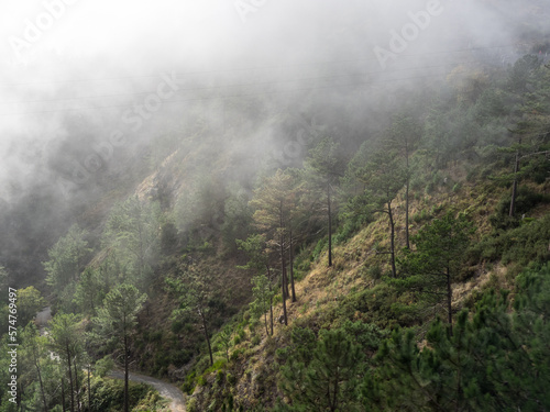 Die Insel Madeira