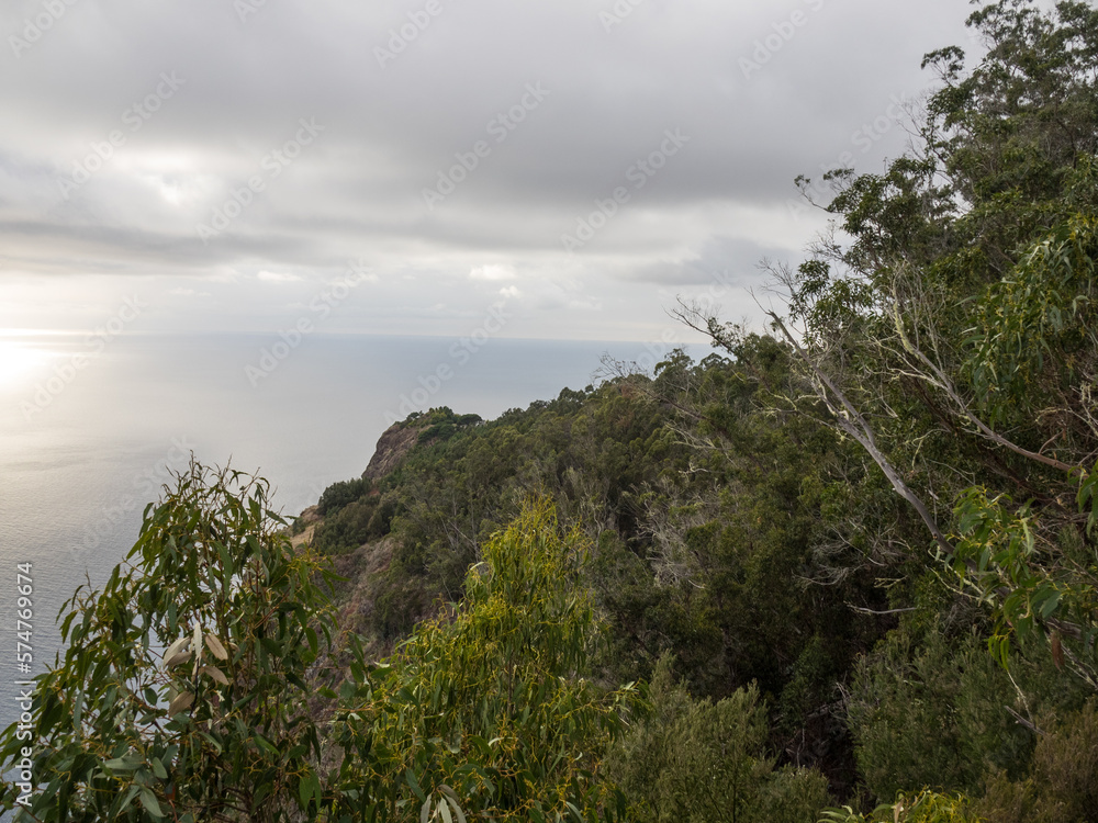 Funchal und die Insel Madeira Funchal und die Insel Madeira