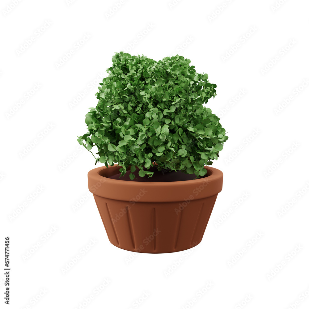 3d illustration of houseplant potted isolated 3d illustration of houseplant potted isolated