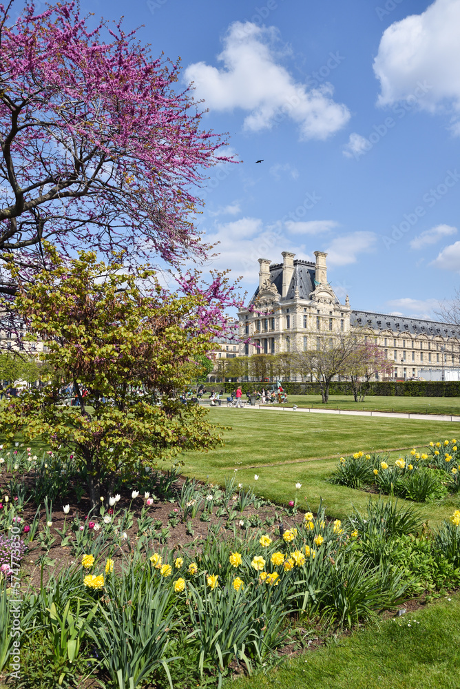 Spring Flowers in Front of the Louvre at Tuileries Garden in Paris, France