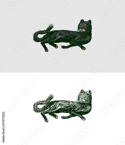 Black cat. Witch animal. Halloween or pagan witchcraft. Vintage engraving sketch. Doodle outline. Hand drawing. Vector illustration.