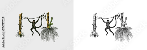 Coconut palm. Monkey jumping on branches. Tropical trees exotic plants. Phoenix or Date varieties. Eastern landscape. Exotic nature. Linear Jungle. Hand drawn sketch in vintage style.