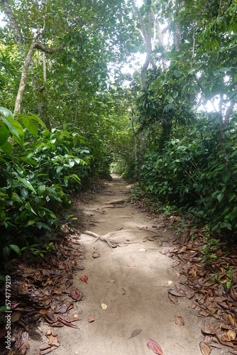 Costa Rica - Cahuita National Park
