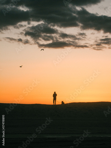 silhouette of a person walking on the beach at sunset with their dog