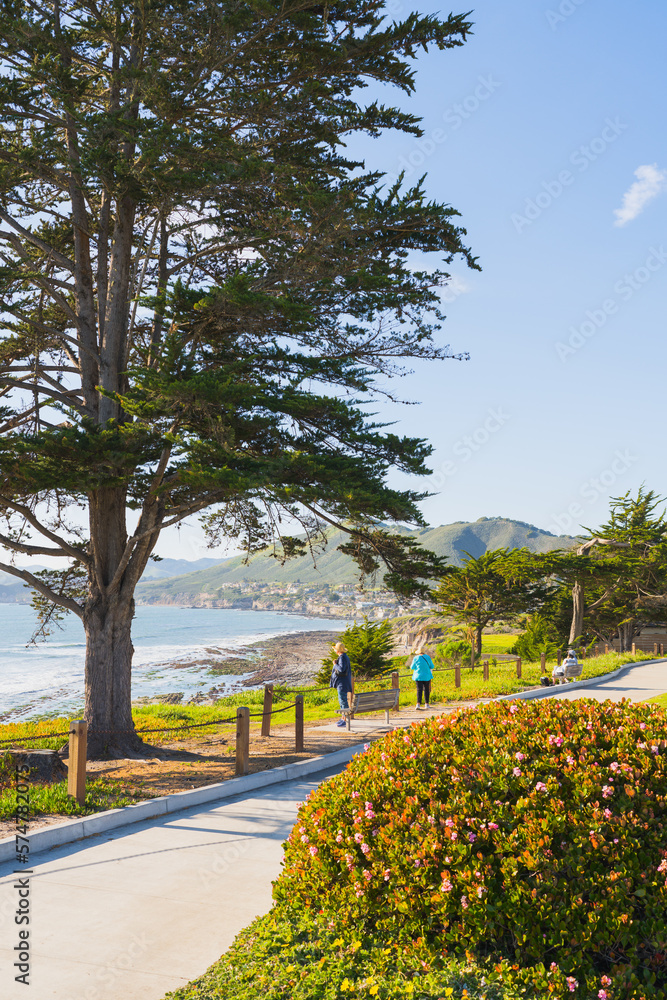 Walkway along the shore and wooden bench overlooking the ocean, and beautiful blue sky in the background, California Walkway along the shore and wooden bench overlooking the ocean, and beautiful blue sky in the background, California