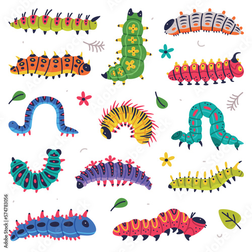 Bright Caterpillars as Larval Stage of Insect Crawling and Creeping Vector Set