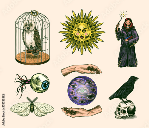Witch brews a potion in a cauldron. Magic ball, book of spells, black cat, beldam and sorcery, Crow on skull. Sun and a Crescent moon with face. Hand drawn engraved vintage sketch