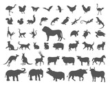 set of silhouette designs of various animals. large collection of animal elements. vector illustration