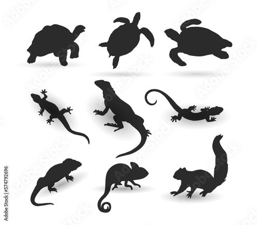 animal silhouette illustration collection. turtle  lizard  Komodo  iguana and squirrel  vector illustration