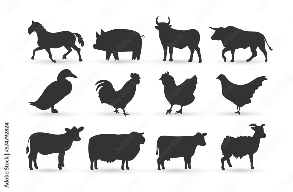 set of silhouettes of farm animals, chicken, cow, goat, buffalo, horse, pig and duck, vector illustration set of silhouettes of farm animals, chicken, cow, goat, buffalo, horse, pig and duck, vector illustration
